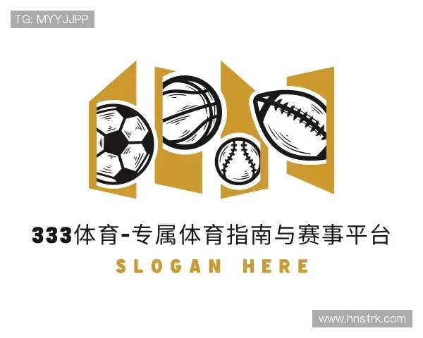 解读333体育